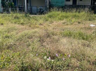 Residential Land for Sale in Ernakulam, Aluva, Elookkara, Near Paduvathy Pally