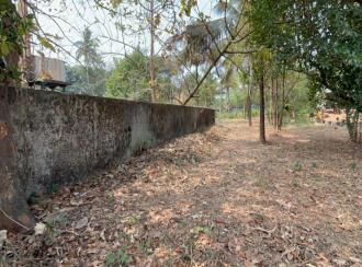 Residential Land for Sale in Thrissur, Thrissur, Ancheri, Near Ayurdhara Pharmaceuticals in Anchery