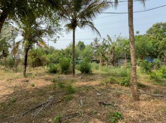 Residential Land for Sale in Thrissur, Thrissur, Ancheri, Near Ayurdhara Pharmaceuticals in Anchery