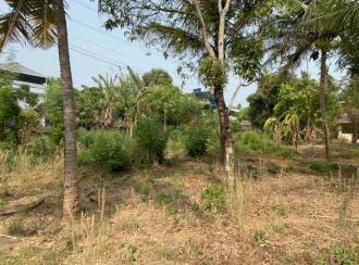 Residential Land for Sale in Thrissur, Thrissur, Ancheri, Near Ayurdhara Pharmaceuticals in Anchery