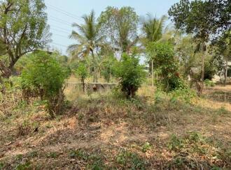 Residential Land for Sale in Thrissur, Thrissur, Ancheri, Near Ayurdhara Pharmaceuticals in Anchery