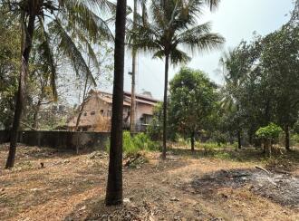 Residential Land for Sale in Thrissur, Thrissur, Ancheri, Near Ayurdhara Pharmaceuticals in Anchery