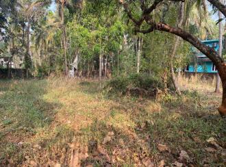 Residential Land for Sale in Palakkad, Pattambi, Perumudiyur, Near oriental high school