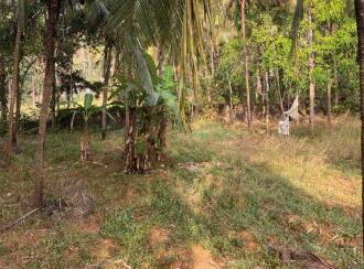 Residential Land for Sale in Palakkad, Pattambi, Perumudiyur, Near oriental high school