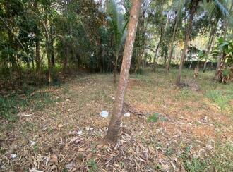 Residential Land for Sale in Palakkad, Pattambi, Perumudiyur, Near oriental high school