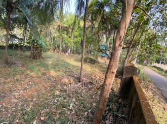 Residential Land for Sale in Palakkad, Pattambi, Perumudiyur, Near oriental high school