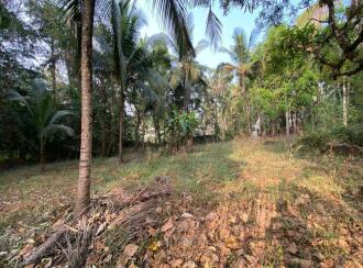 Residential Land for Sale in Palakkad, Pattambi, Perumudiyur, Near oriental high school