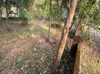 Residential Land for Sale in Palakkad, Pattambi, Perumudiyur, Near oriental high school
