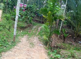 Residential Land for Sale in Wayanad, Sulthan bathery, Sultan Bathery, sulthan Bathery