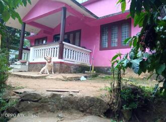 Residential Land for Sale in Wayanad, Sulthan bathery, Sultan Bathery, sulthan Bathery