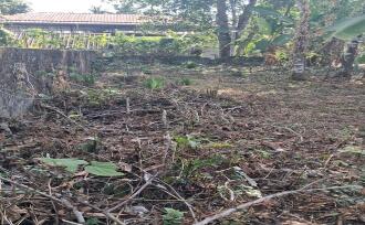 Residential Land for Sale in Kottayam, Kottayam town, Arpookara, MANNANAM-MEDICAL COLLEGE ROAD