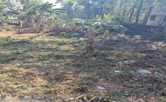 Residential Land for Sale in Kottayam, Kottayam town, Arpookara, MANNANAM-MEDICAL COLLEGE ROAD