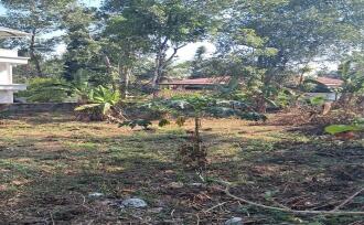 Residential Land for Sale in Kottayam, Kottayam town, Arpookara, MANNANAM-MEDICAL COLLEGE ROAD