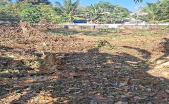 Residential Land for Sale in Kottayam, Kottayam town, Arpookara, MANNANAM-MEDICAL COLLEGE ROAD