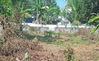 Residential Land for Sale in Kottayam, Kottayam town, Arpookara, MANNANAM-MEDICAL COLLEGE ROAD