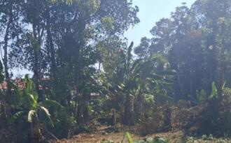 Residential Land for Sale in Kottayam, Kottayam town, Arpookara, MANNANAM-MEDICAL COLLEGE ROAD