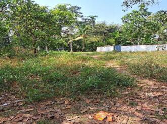 Residential Land for Sale in Alleppey, Cherthala, Muhamma, Near Karunya Hospital Jnunction.
