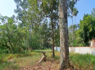 Residential Land for Sale in Alleppey, Cherthala, Muhamma, Near Karunya Hospital Jnunction.