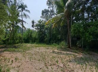 Residential Land for Sale in Alleppey, Cherthala, Muhamma, Near Karunya Hospital Jnunction.