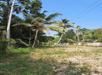 Residential Land for Sale in Alleppey, Cherthala, Muhamma, Near Karunya Hospital Jnunction.