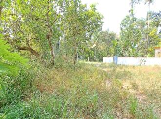Residential Land for Sale in Alleppey, Cherthala, Muhamma, Near Karunya Hospital Jnunction.