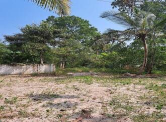 Residential Land for Sale in Alleppey, Cherthala, Muhamma, Near Karunya Hospital Jnunction.