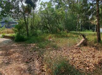 Residential Land for Sale in Alleppey, Cherthala, Muhamma, Near Karunya Hospital Jnunction.