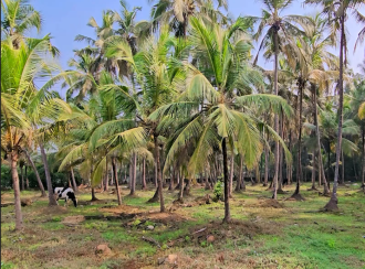 Commercial Land for Sale in Kozhikode, Elathur, Mokavoor, Kaipurath Palam