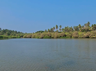 Commercial Land for Sale in Kozhikode, Elathur, Mokavoor, Kaipurath Palam