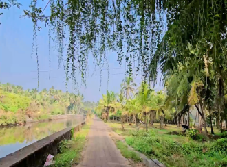 Commercial Land for Sale in Kozhikode, Elathur, Mokavoor, Kaipurath Palam