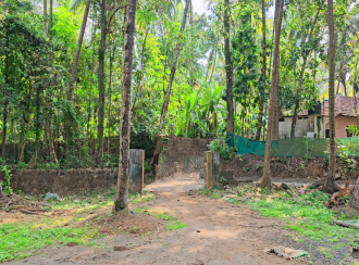 Commercial Land for Sale in Kozhikode, Elathur, Mokavoor, Kaipurath Palam