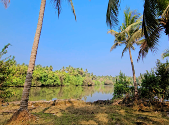 Commercial Land for Sale in Kozhikode, Elathur, Mokavoor, Kaipurath Palam