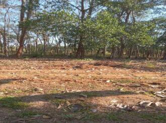 വാസയോഗ്യമായ ഭൂമി വില്പനയ്ക്ക് Thrissur, Chalakudy, Alur