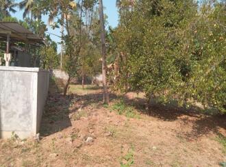 വാസയോഗ്യമായ ഭൂമി വില്പനയ്ക്ക് Thrissur, Chalakudy, Alur