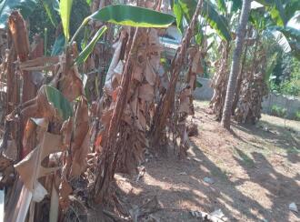 വാസയോഗ്യമായ ഭൂമി വില്പനയ്ക്ക് Thrissur, Chalakudy, Alur