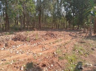 വാസയോഗ്യമായ ഭൂമി വില്പനയ്ക്ക് Thrissur, Chalakudy, Alur