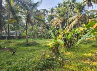 Residential Land for Sale in Kozhikode, Quilandy, Quilandy, Nambrathkara
