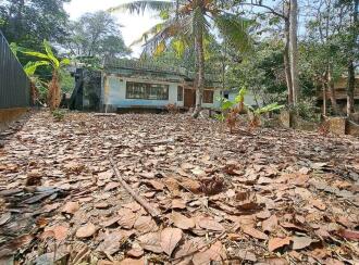 Residential Land for Sale in Alleppey, Haripad, Karuvatta, Vazhiyambalam