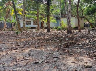 Residential Land for Sale in Alleppey, Haripad, Karuvatta, Vazhiyambalam