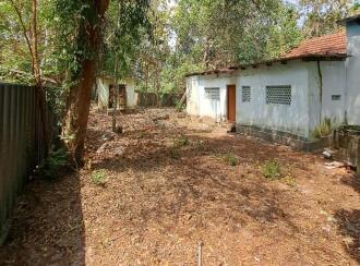 Residential Land for Sale in Alleppey, Haripad, Karuvatta, Vazhiyambalam