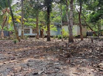 Residential Land for Sale in Alleppey, Haripad, Karuvatta, Vazhiyambalam