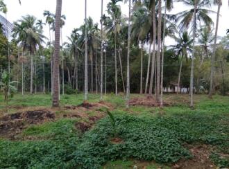 Agricultural Land for SalePalakkad, Ottappalam, Kadampazhipuram