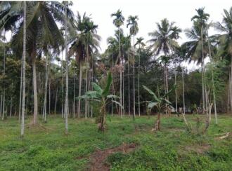 Agricultural Land for Sale in Palakkad, Ottappalam, Kadampazhipuram, near Kadampazhipurm high school