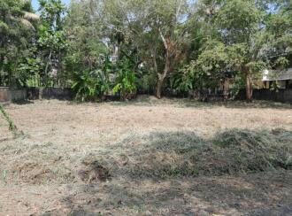 Agricultural Land for SaleThrissur, Irinjalakuda, Irinjalakuda
