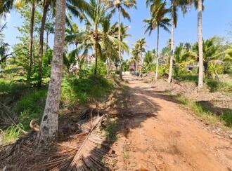 Commercial Land for Sale in Alleppey, Alappuzha, Thathampally