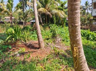 Commercial Land for Sale in Alleppey, Alappuzha, Thathampally