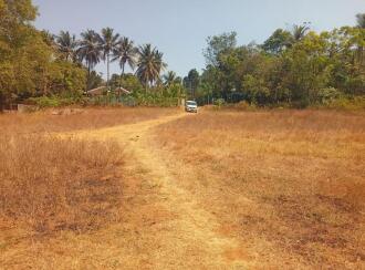 Residential Land for Sale in Palakkad, Palakkad, Mankurussi, Colony road Opp Sarada Auditorium, Mankurussi, Palakkad
