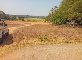 Residential Land for Sale in Palakkad, Palakkad, Mankurussi, Colony road Opp Sarada Auditorium, Mankurussi, Palakkad