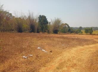 Residential Land for Sale in Palakkad, Palakkad, Mankurussi, Colony road Opp Sarada Auditorium, Mankurussi, Palakkad