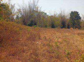 Residential Land for Sale in Palakkad, Palakkad, Mankurussi, Colony road Opp Sarada Auditorium, Mankurussi, Palakkad